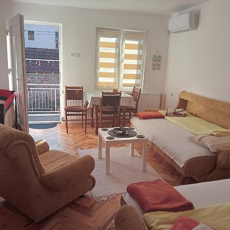 Apartman Nedeljkovic Apartment Vrnjačka Banja Екстериор снимка